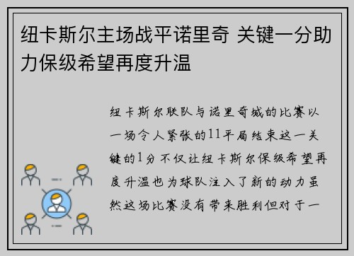 纽卡斯尔主场战平诺里奇 关键一分助力保级希望再度升温