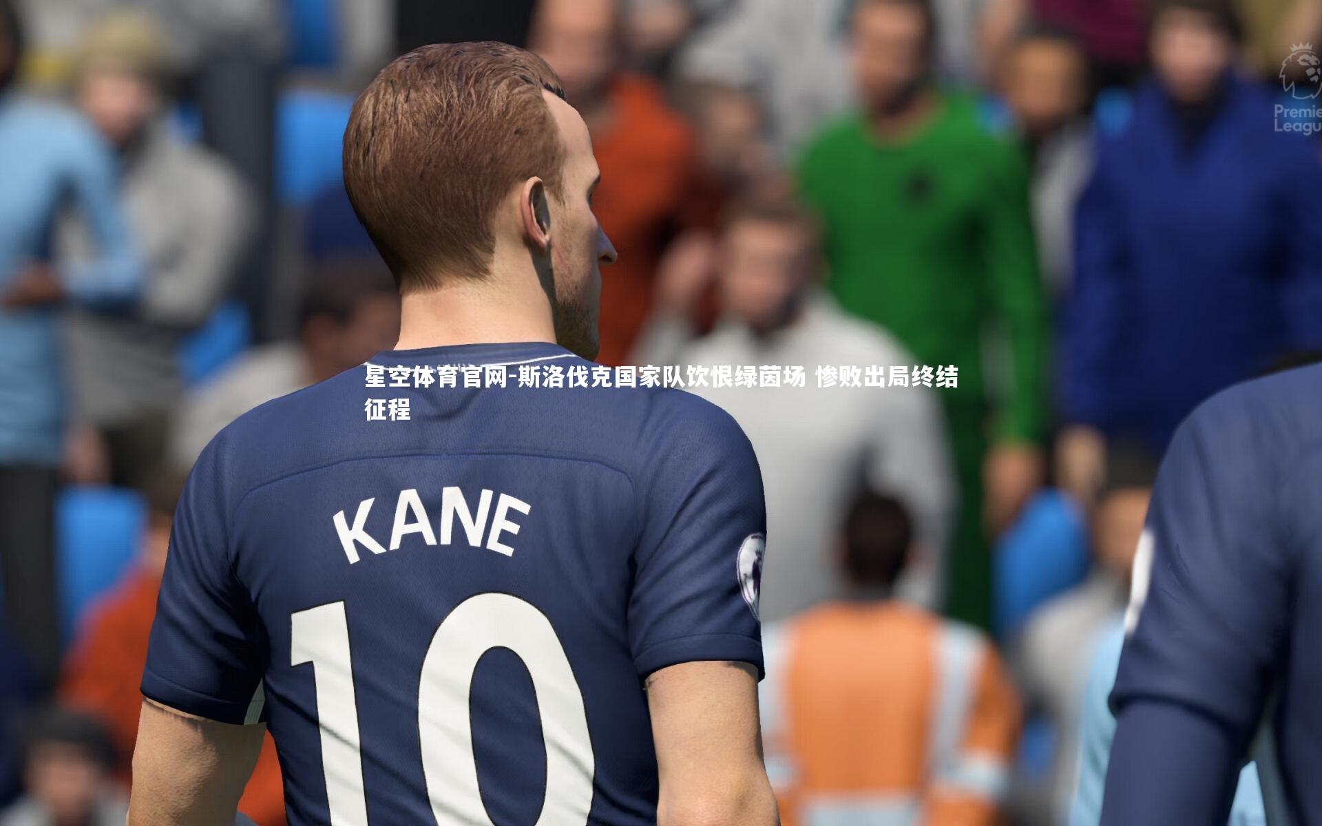 星空体育官网-斯洛伐克国家队饮恨绿茵场 惨败出局终结征程